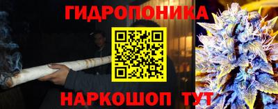 гидропоника Кунгур