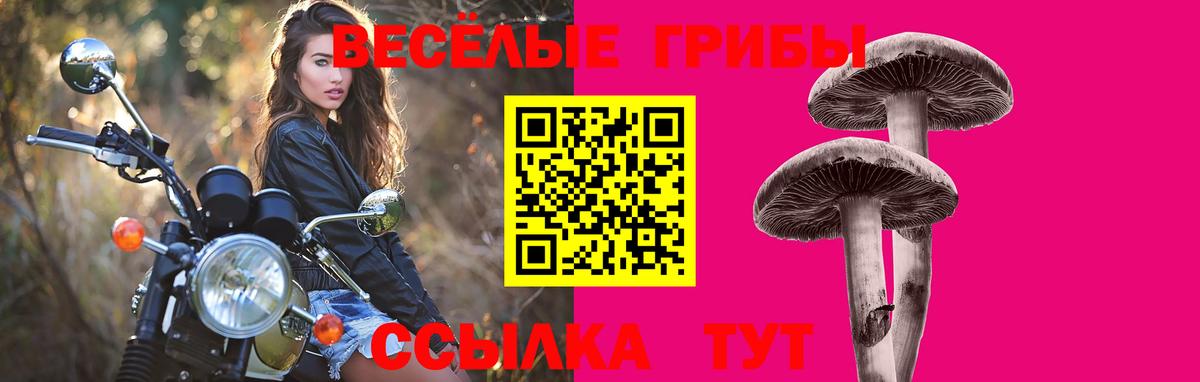 Заволжье  Галлюциногенные грибы Cubensis  Галлюциногенные грибы MAGIC MUSHROOMS  Вход с VPN 